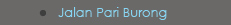 Jalan Pari Burong